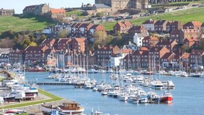 A marina with numerous boats docked, surrounded by traditional red-roofed buildings. - Pine Boutique Lodge with hot tub for couples & dog (York)