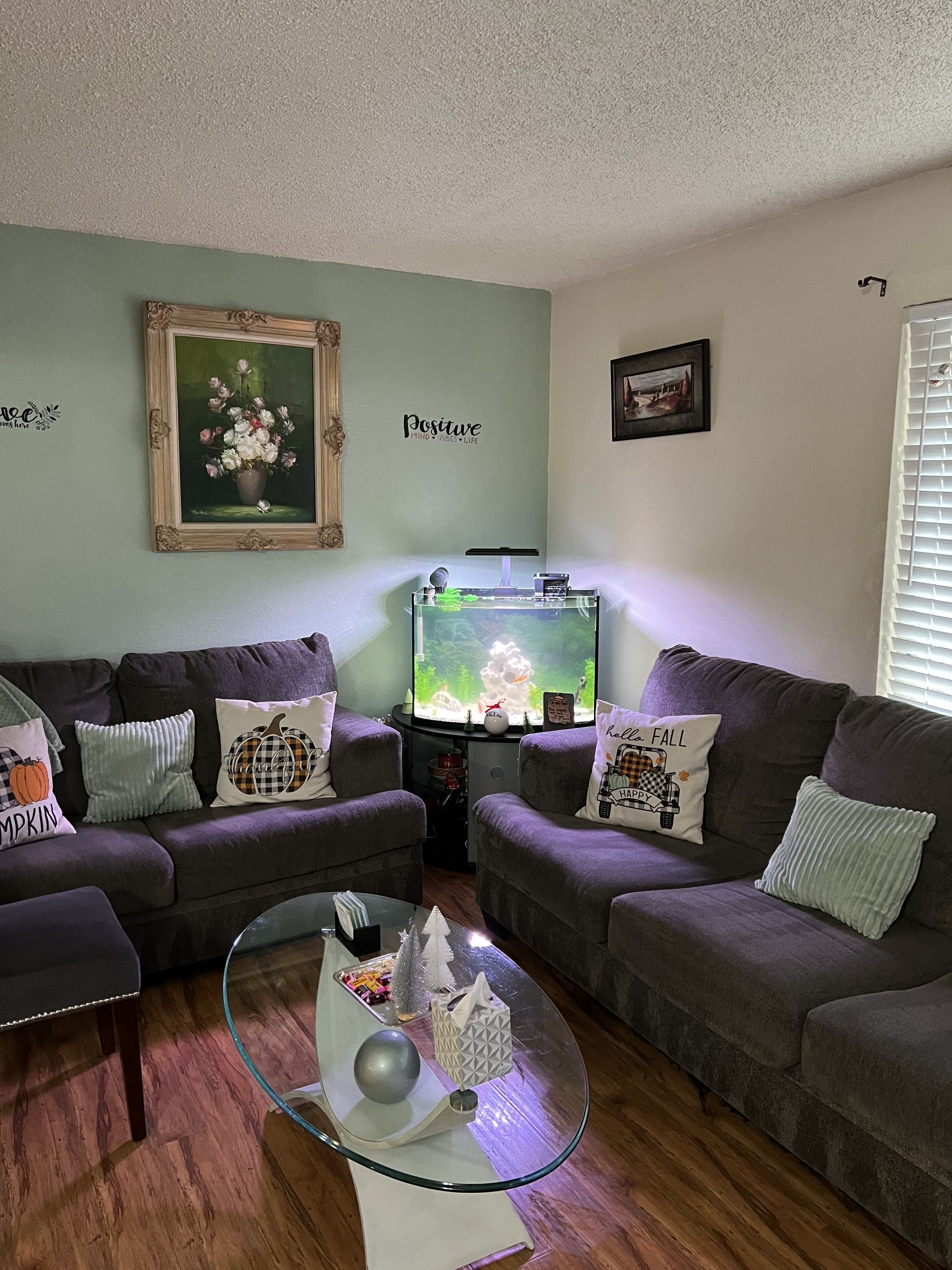 Comfort Apartment