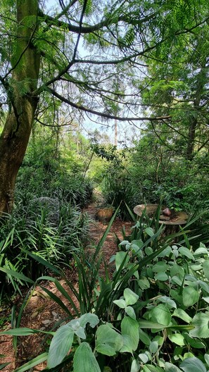 Property grounds - Beach meets Bush (Melborune)