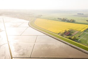 Botón de imagen sin clasificar, 5 de 34