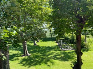 Image sans description, 4 de 83, bouton