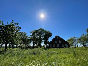 Imagen sin descripción, 4 de 77, botón
