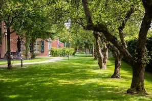 A well-maintained grassy area with trees, a brick building, and outdoor seating.