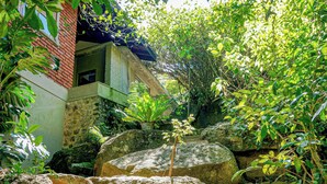 A set of stone steps leading up to a building, surrounded by lush greenery and trees.