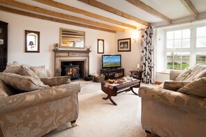 Smart TV, chimenea, reproductor de DVD y futbolito 