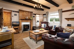 Smart TV, fireplace, books, stereo - The Bothy - sleeps 4 guests  in 2 bedrooms (Beadnell)