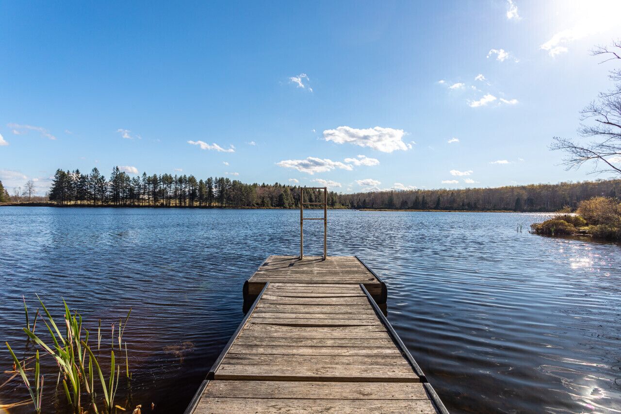 A wooden dock extending into calm water with a clear sky and trees in the background.