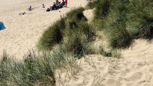 Ein Strand mit Menschen, die entspannen und sonnenbaden, Zelten und einem klaren Himmel.