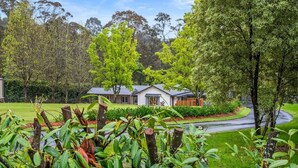 A modern house with a curved driveway, surrounded by lush greenery and trees.