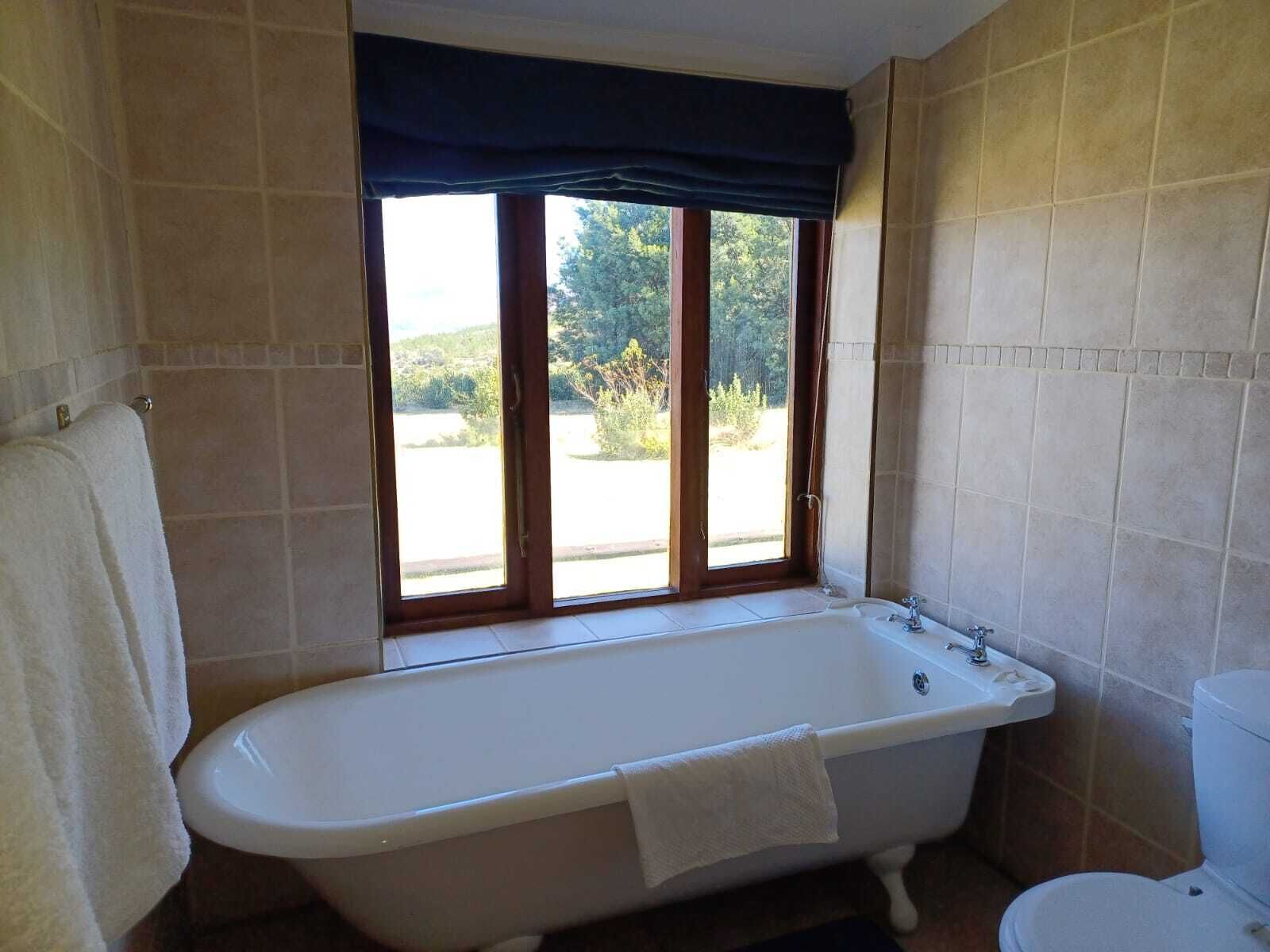 A bathroom with a freestanding bathtub, a window with a dark valance, and a toilet.