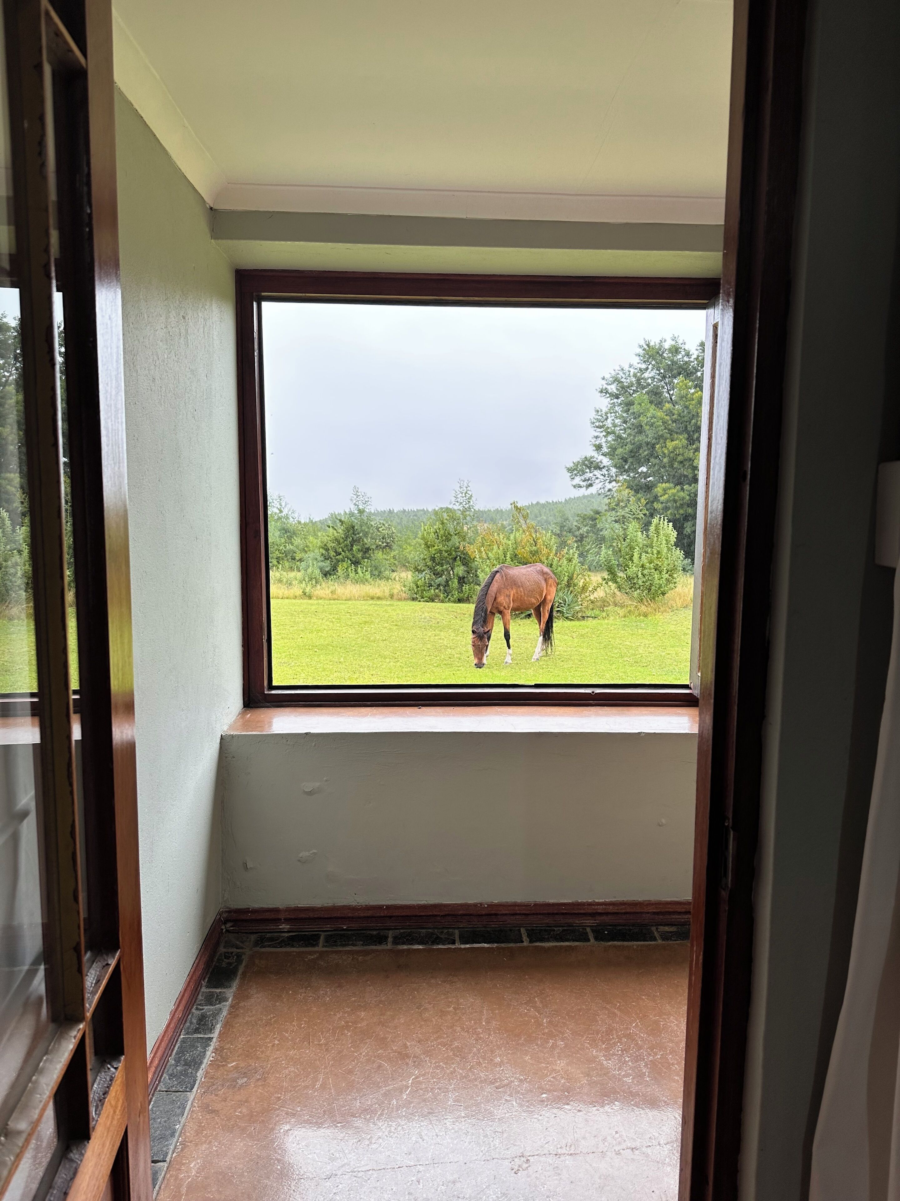 Une pièce dotée d’une grande fenêtre donnant sur un champ verdoyant et un cheval.