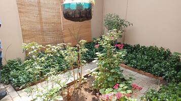 Jardin