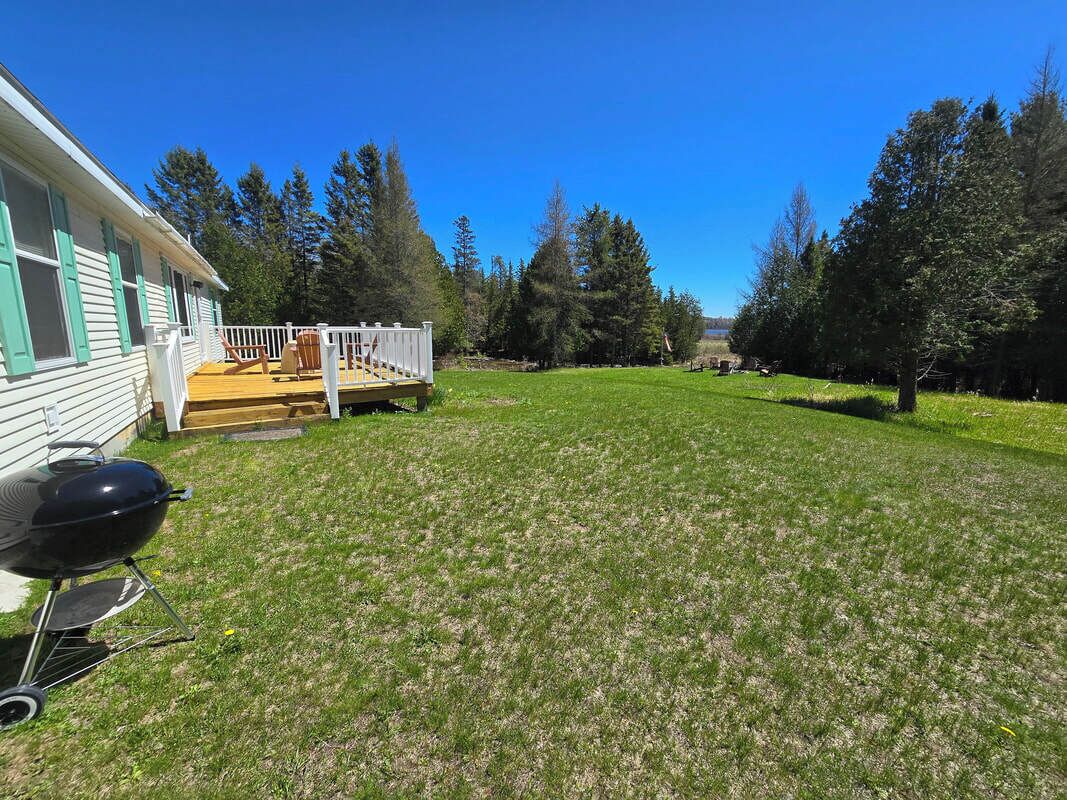 テラス / パティオ