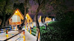Ảnh chưa phân loại, 3 trong số 14 ảnh, nút
