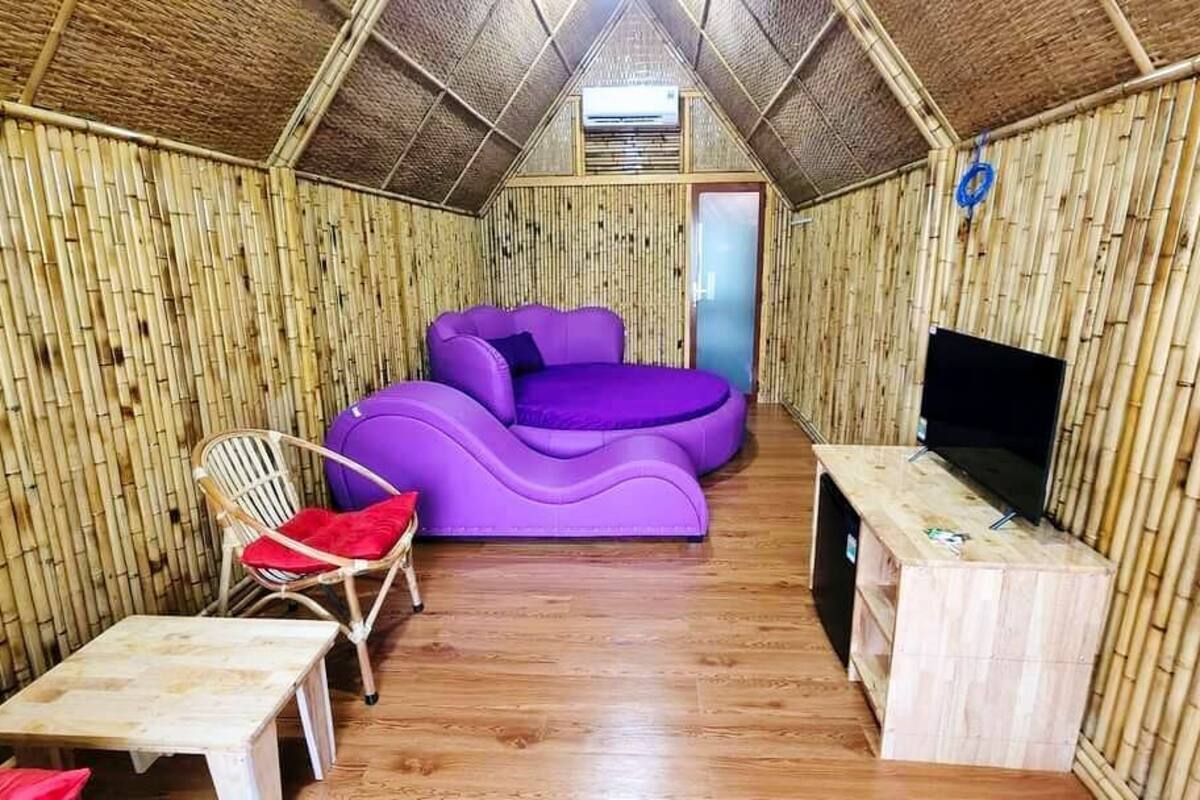 A room with a curved purple sofa, a wooden table, a chair, and a television on a wooden stand.