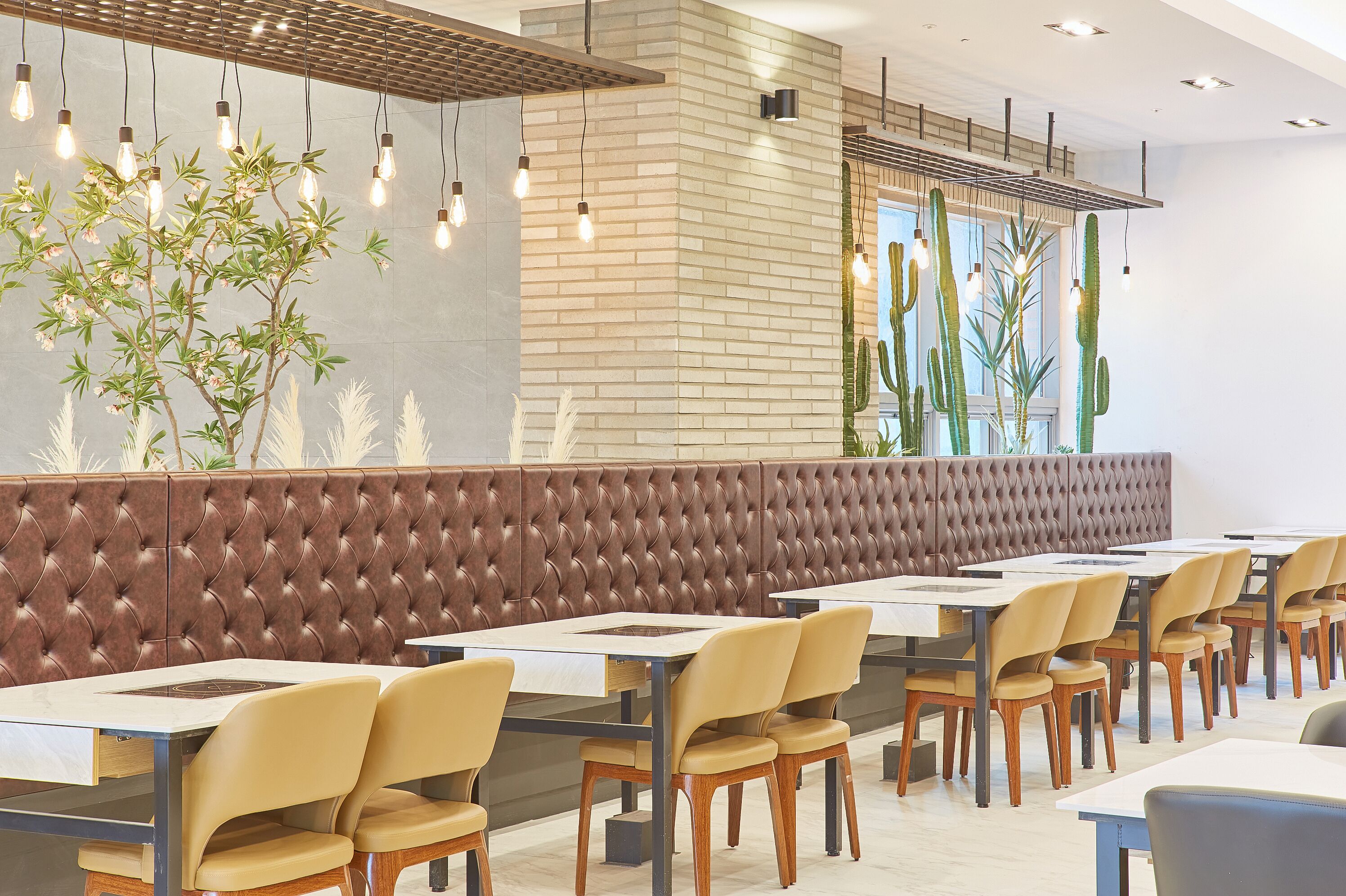 A modern restaurant interior with a long counter, cushioned seating, pendant lighting, and cacti on the wall.