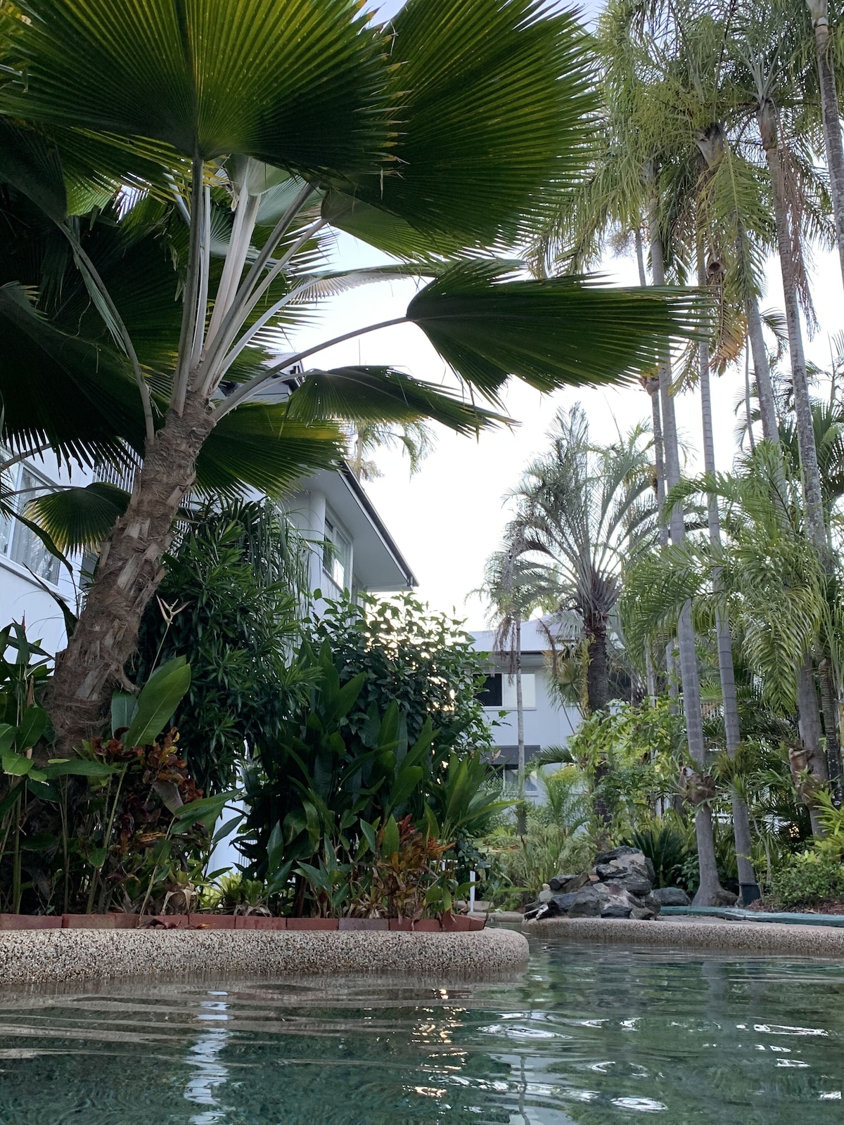 Imagen de perfil del propietario o de la propietaria