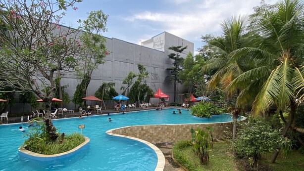 Un área de piscina con varias piscinas, rodeada de palmeras y follaje.