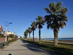 Una passeggiata sul lungomare, con palme, cielo sereno e vista sul mare.