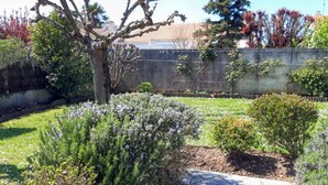 Un jardín con un sendero de piedra, varios arbustos y un árbol.