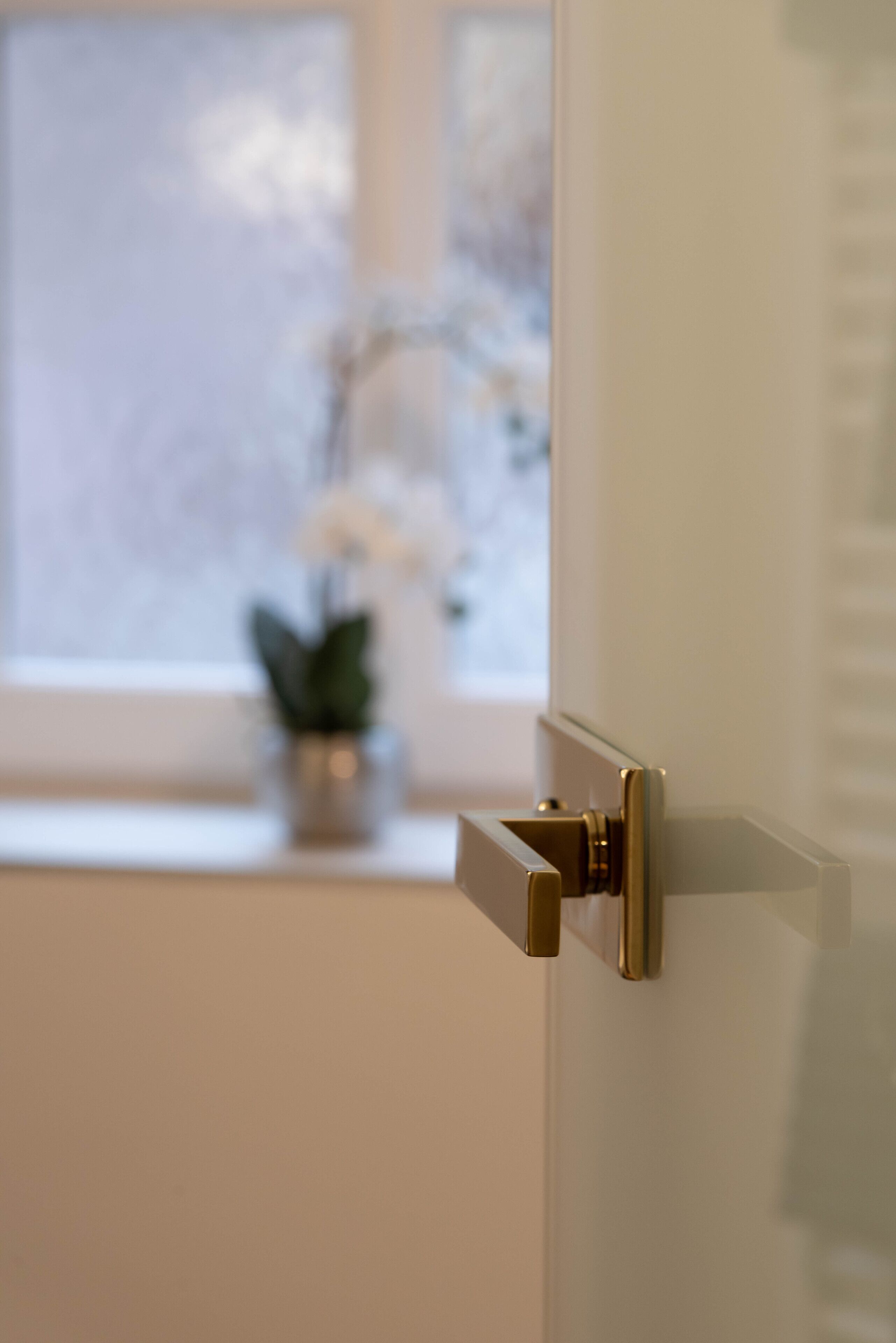 A door with a gold-colored handle and a view of a window with a plant on the sill.