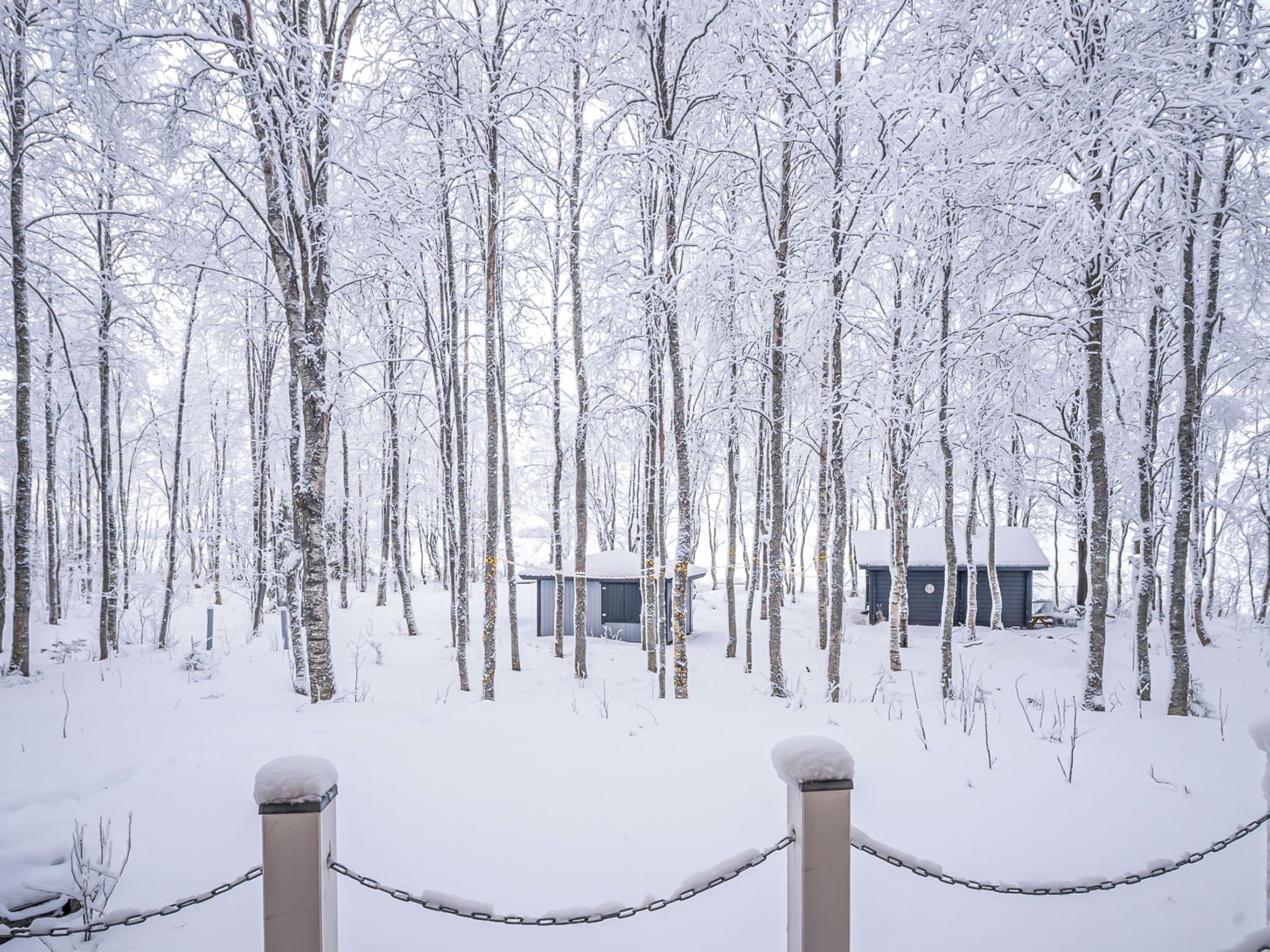 Bosque nevado con una pequeña cabaña y una valla de malla.