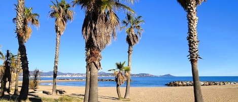 Una spiaggia nelle vicinanze