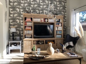 TV, fireplace, DVD player, books