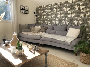 Télévision, cheminée, lecteur de DVD, livres