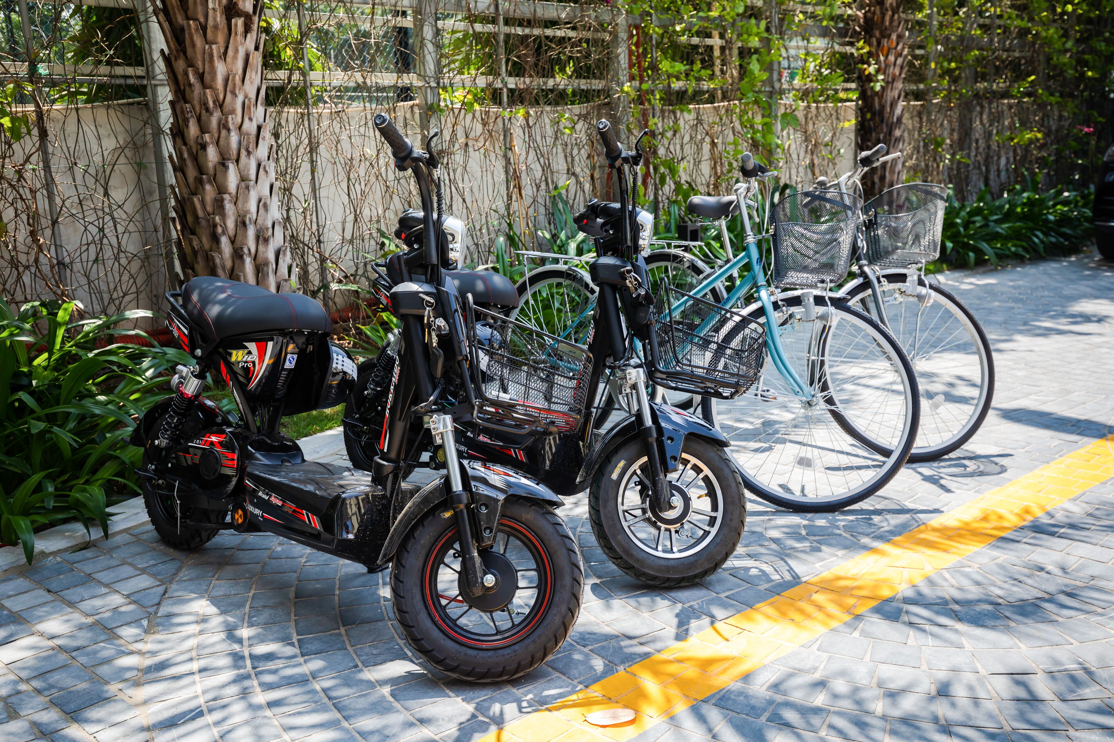 A row of electric scooters and bicycles parked on a tiled pavement with a yellow line, surrounded by greenery and a fence.