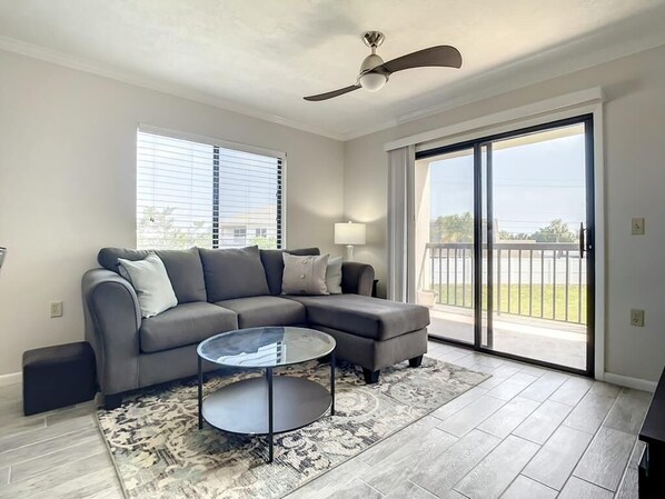 TV, DVD player, books