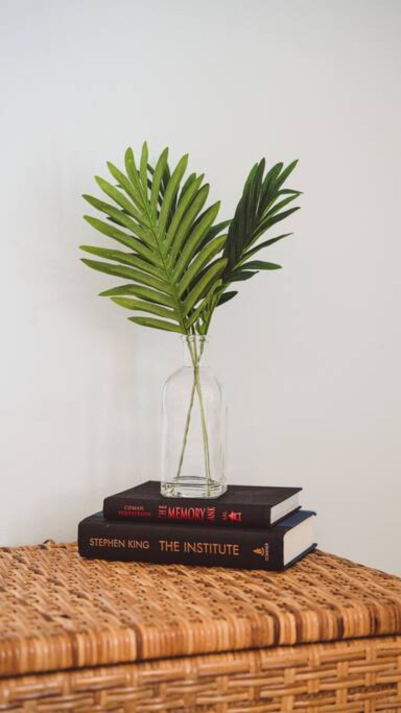 Un vase en verre transparent, surmonté de feuilles vertes, posé sur une pile de livres.