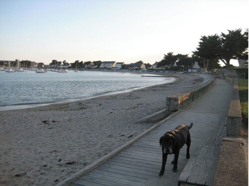 Ideal facing the sea and the old port