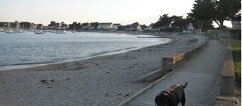 Ideal face mer et vieux port