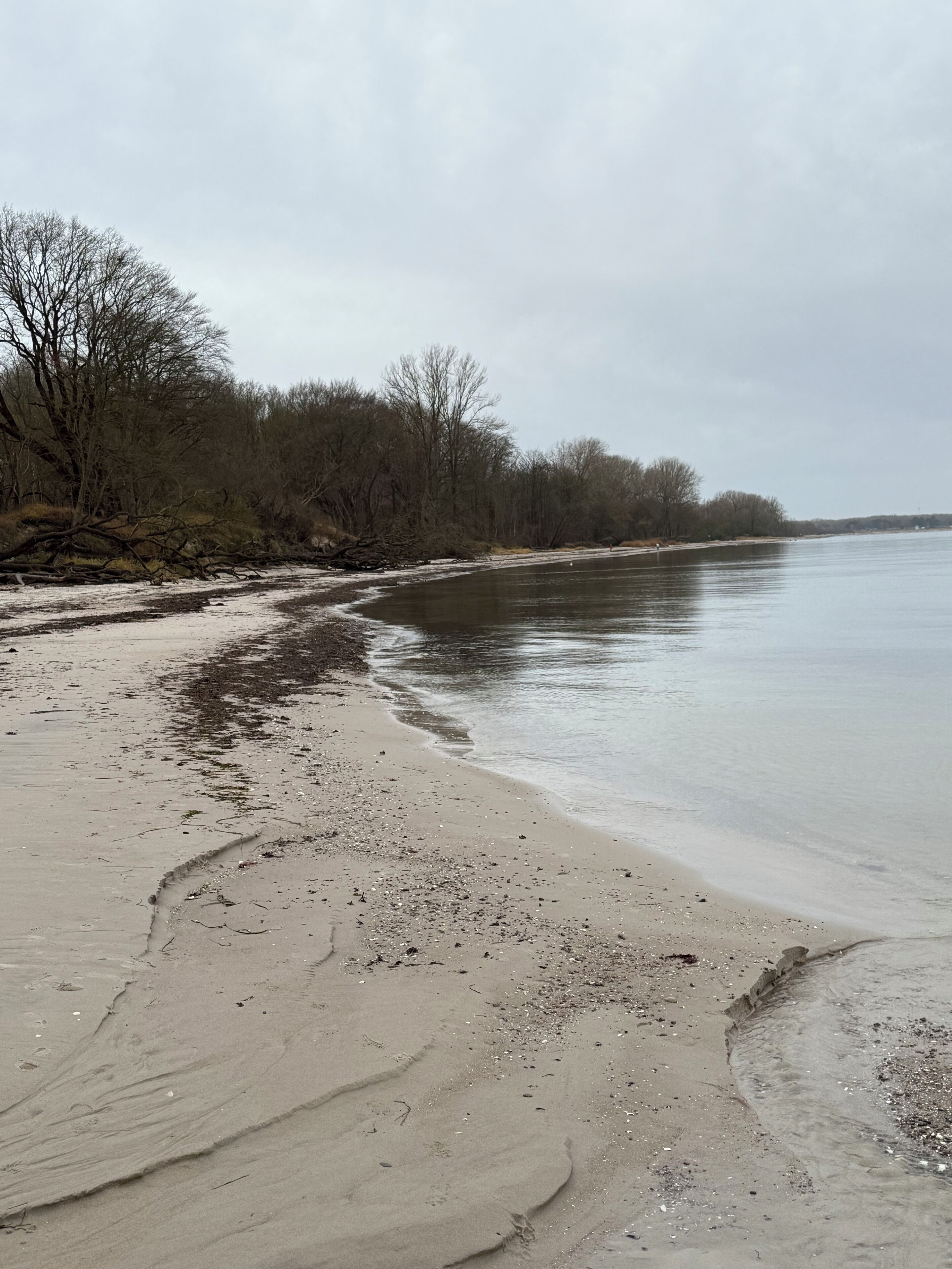 Beach nearby, sun loungers
