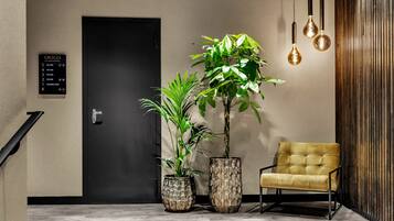 Entrada (vista interna)