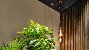 Un interior moderno con un sofá amarillo, dos plantas en macetas y una lámpara colgante.