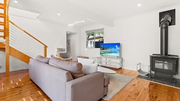 TV, fireplace, books