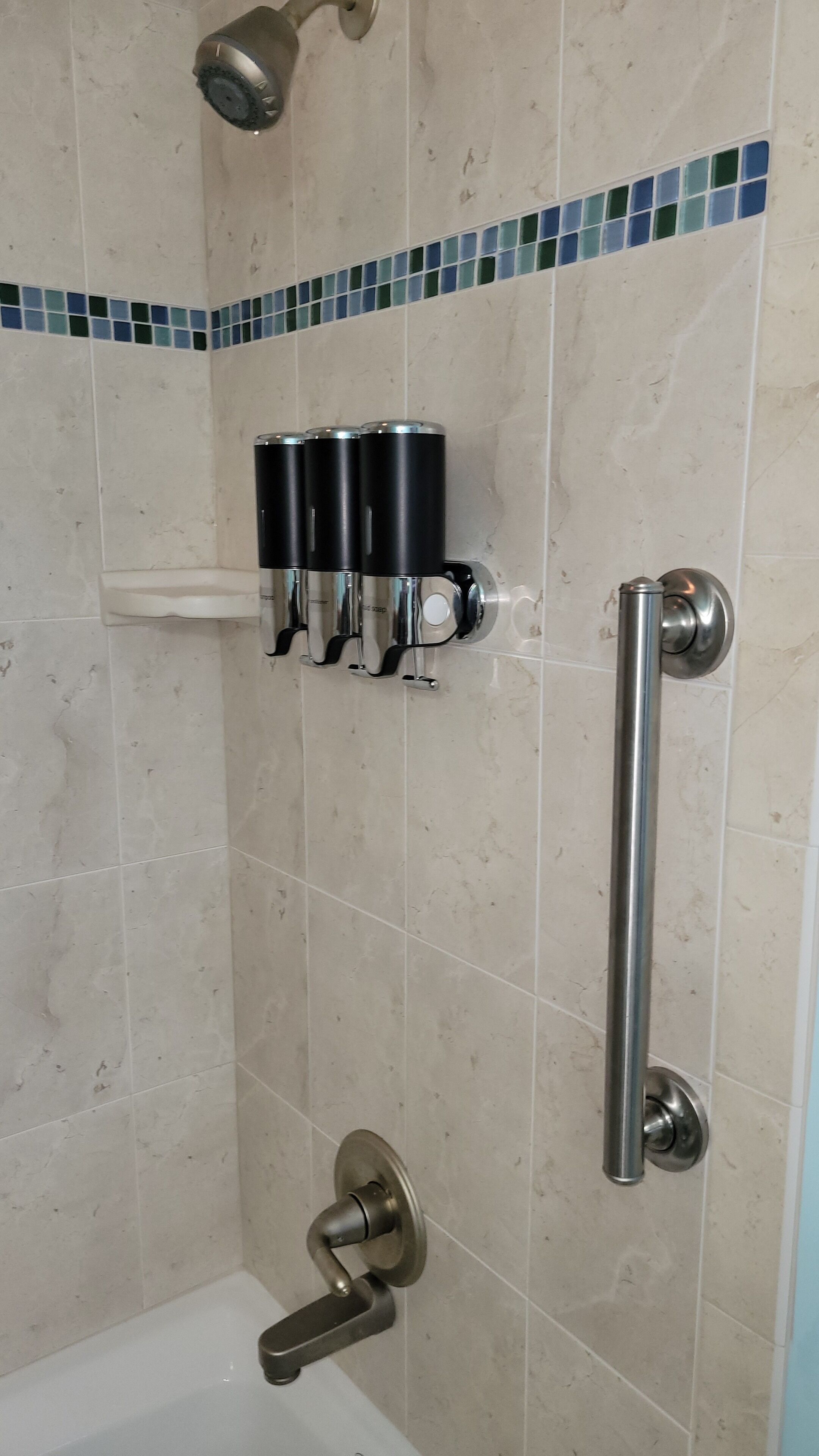 A shower area with a grab bar, a handheld showerhead, and a soap dispenser.