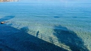 Freie Sicht auf eine Küstenlandschaft mit ruhigem Wasser und einer entfernten Küstenlinie.