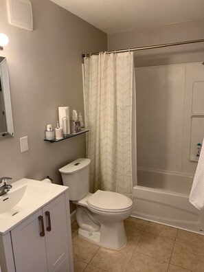 Secador de cabelo, toalhas de banho, papel higiênico 