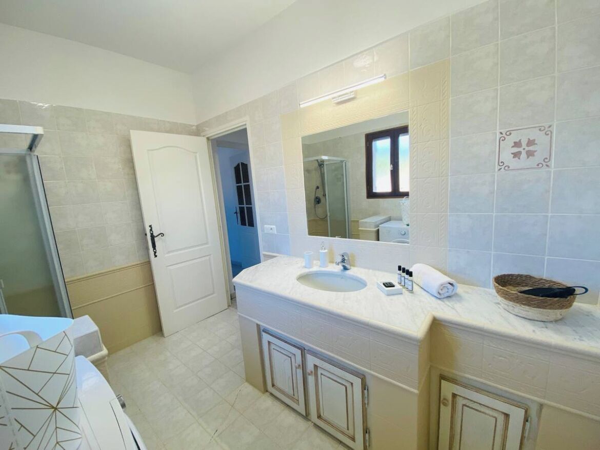 Une salle de bain avec un grand lavabo, un miroir et un espace douche.