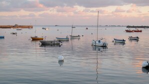Um porto tranquilo com vários barcos ancorados na água.