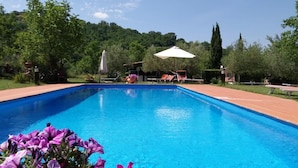 A rectangular swimming pool with a clear blue water surface, surrounded by a brick deck.