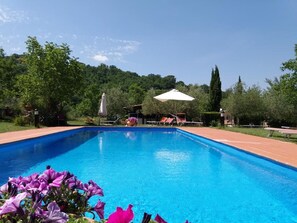 Alberca