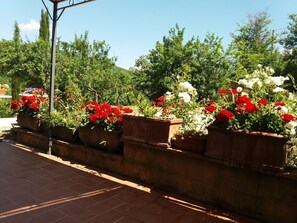 Terrein van de accommodatie