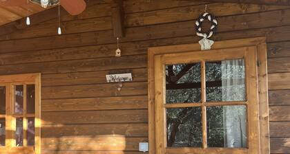 Lodge in the olive grove