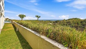 A coastal property with a grassy area, a concrete retaining wall, and two palm trees. - Beacher's Oceanfront Patio Suite with onsite front desk and staff (St. Augustine)