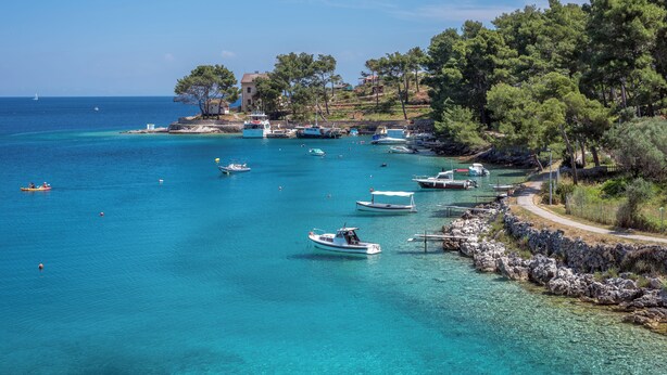 A coastal area with boats docked along the shore, surrounded by trees and a clear blue sea. - Apartment with sea view, large terrace, garden, parking, air conditioning in every room (Mali Lošinj)