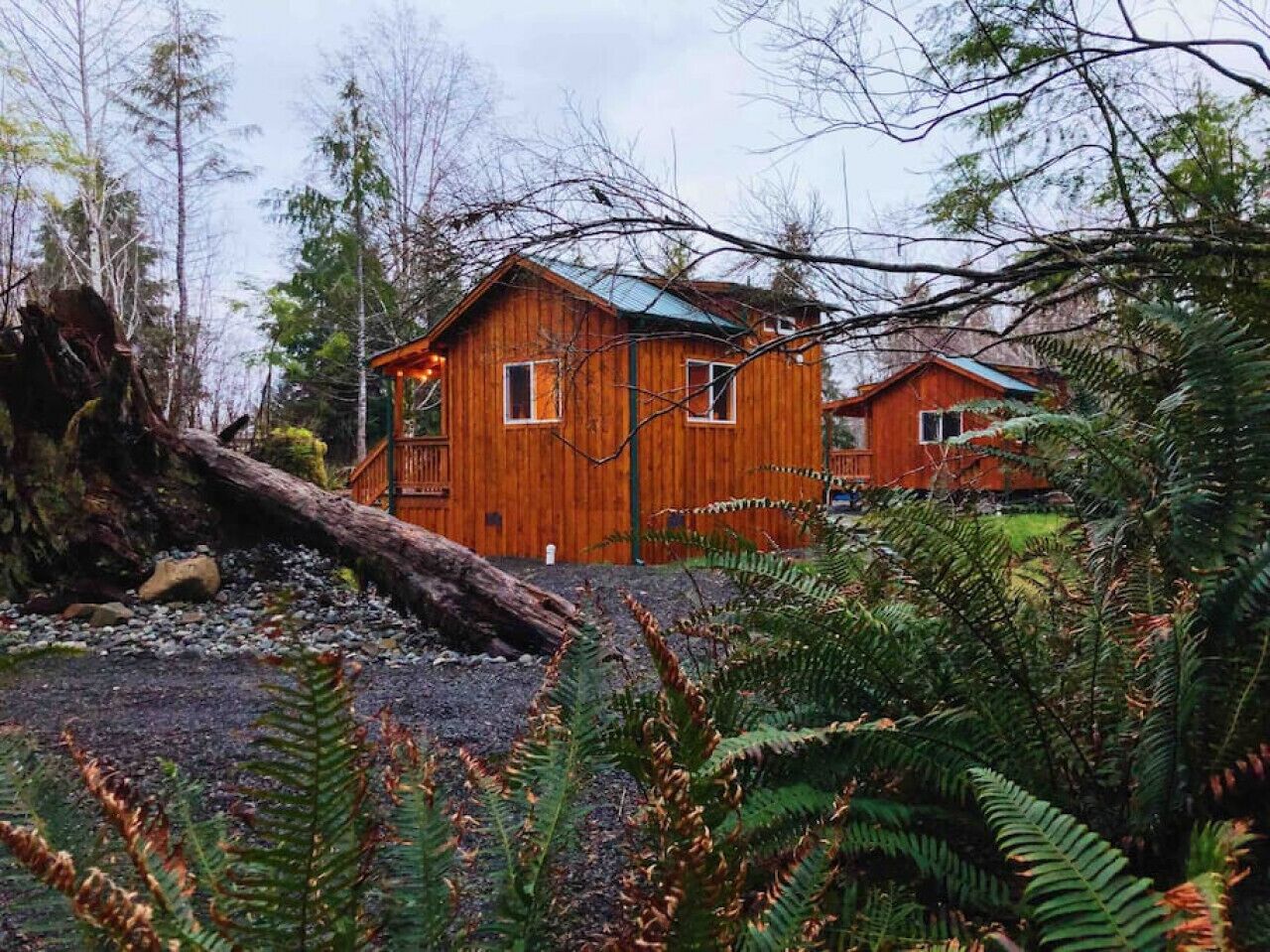 A wooden cabin with a sloped roof, surrounded by dense forest and ferns.